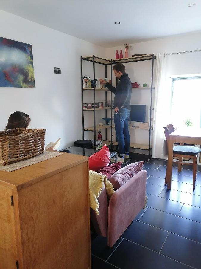 Gite La Maison La Saint-Aubin-d'Aubigne Exterior foto